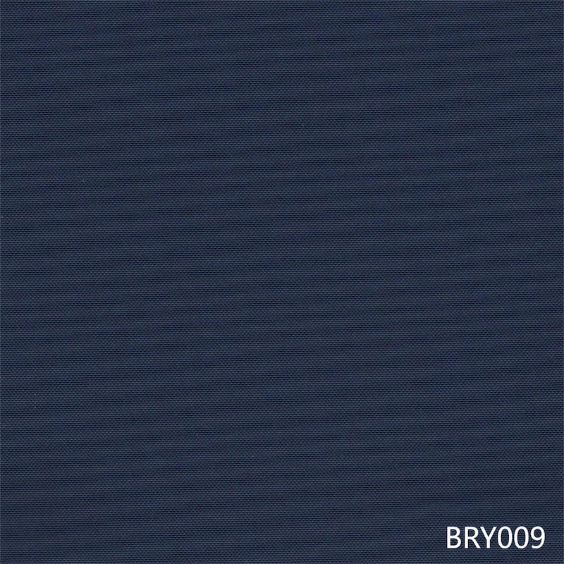 BRY009